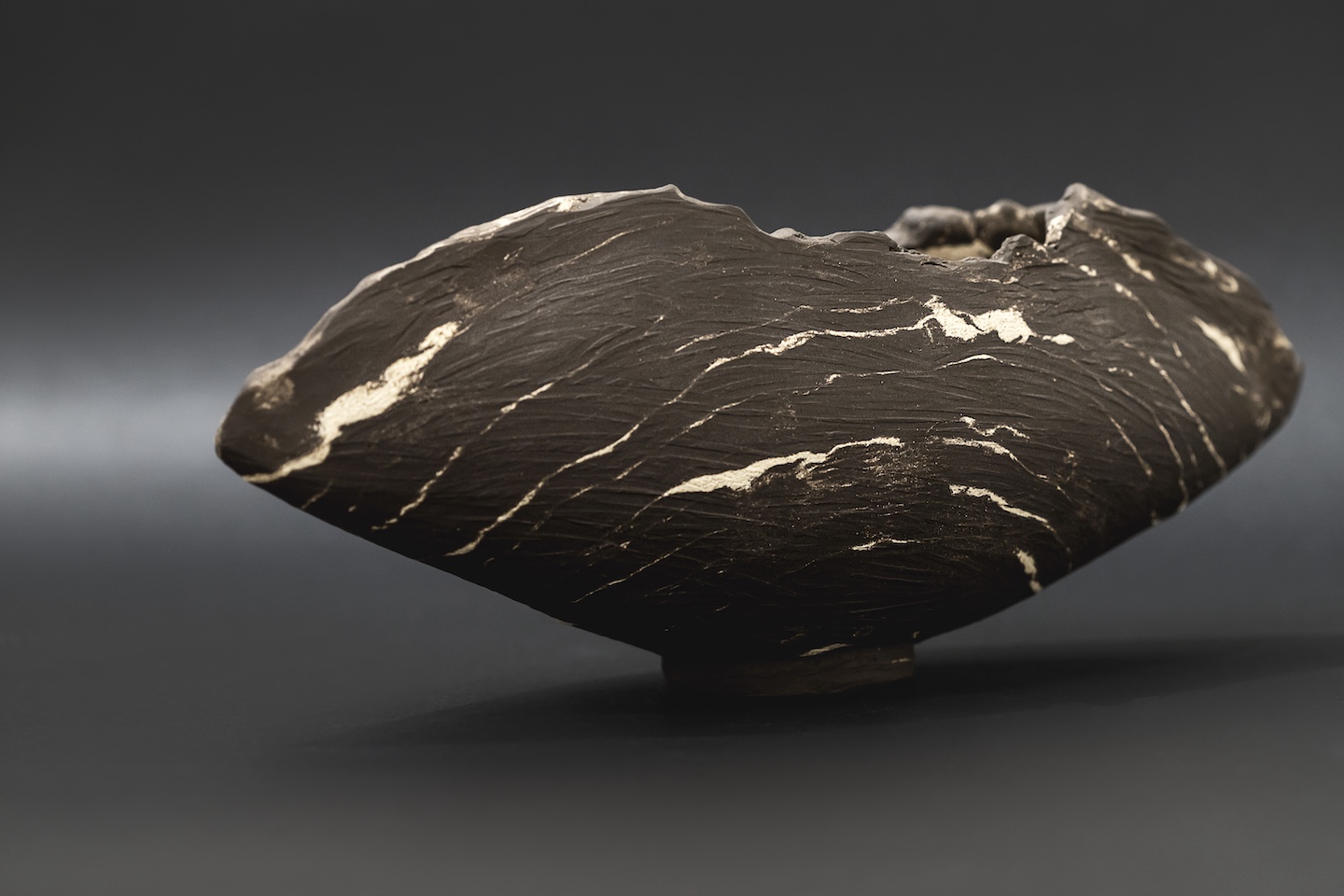 Studio Bira - Collezione 2025