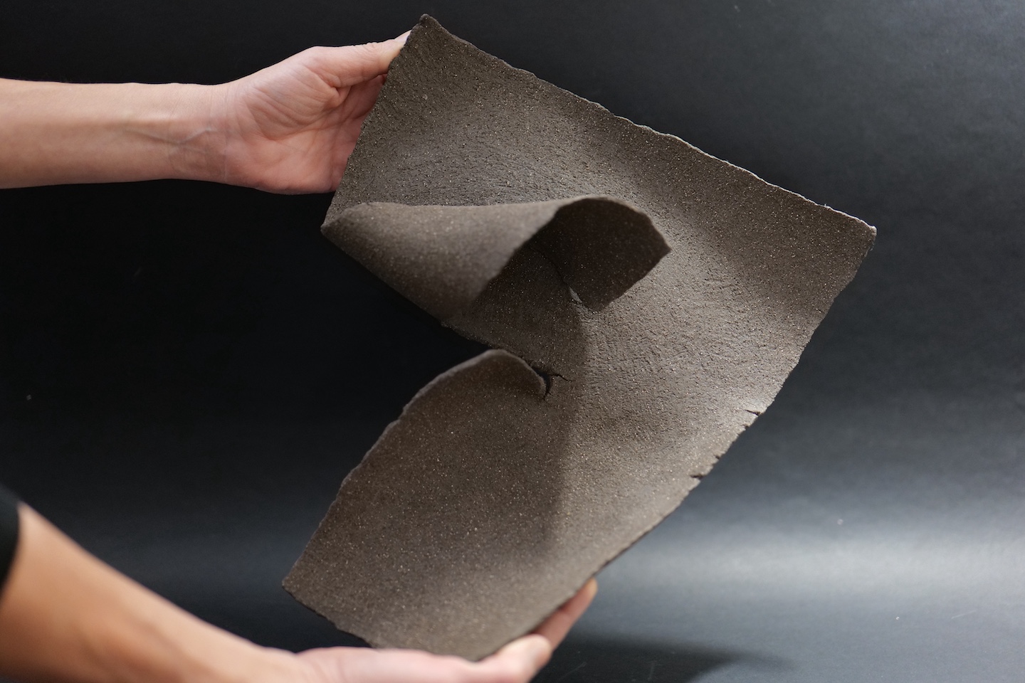 Studio Bira - Collezione 2025